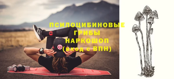хмурый Покровск