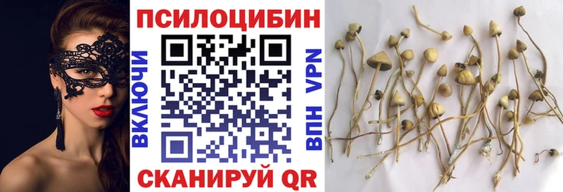 Псилоцибиновые грибы мухоморы Черняховск